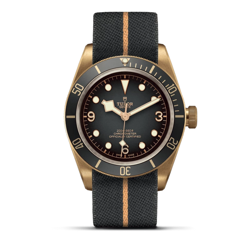 Tudor Black Bay Bronzo