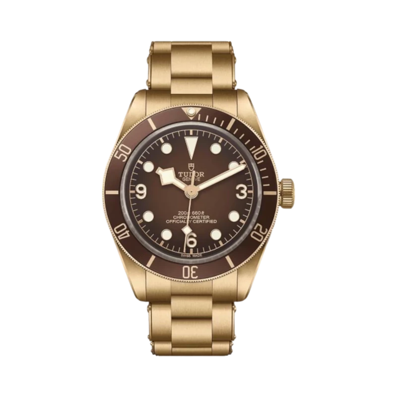 Tudor Black Bay 58 Bronze