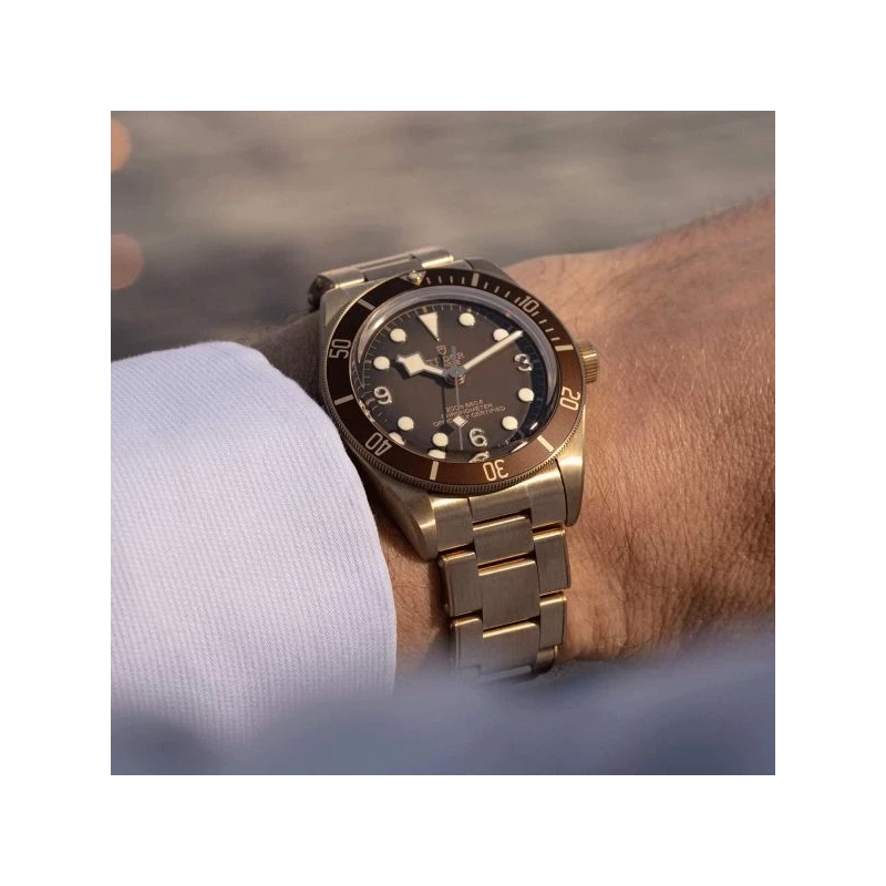 Tudor Black Bay 58 Bronze