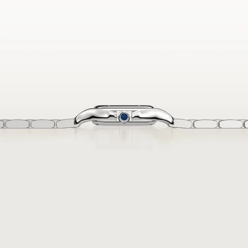 CARTIER Panthère