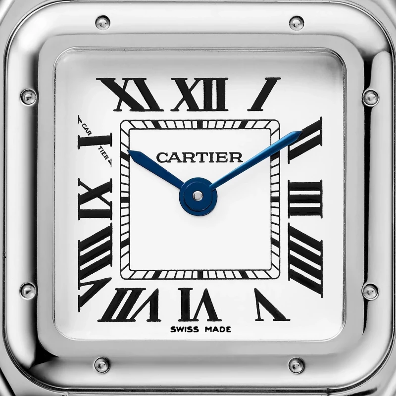 CARTIER Panther