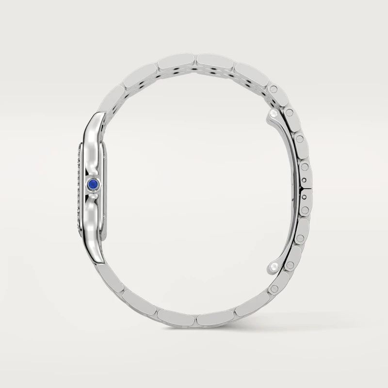 Cartier Panthère