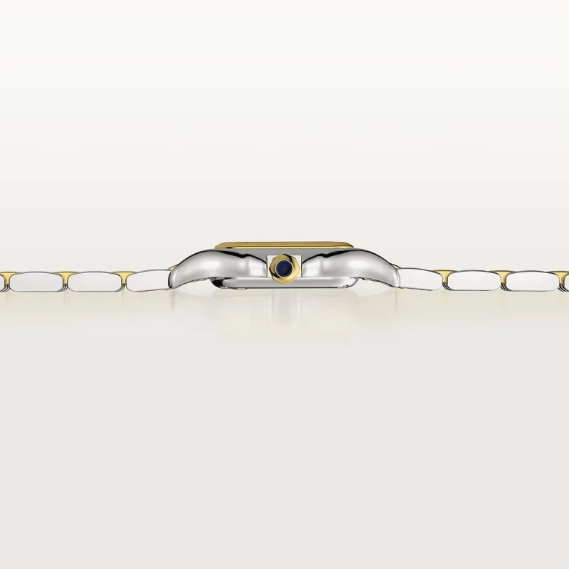 Pantera Cartier