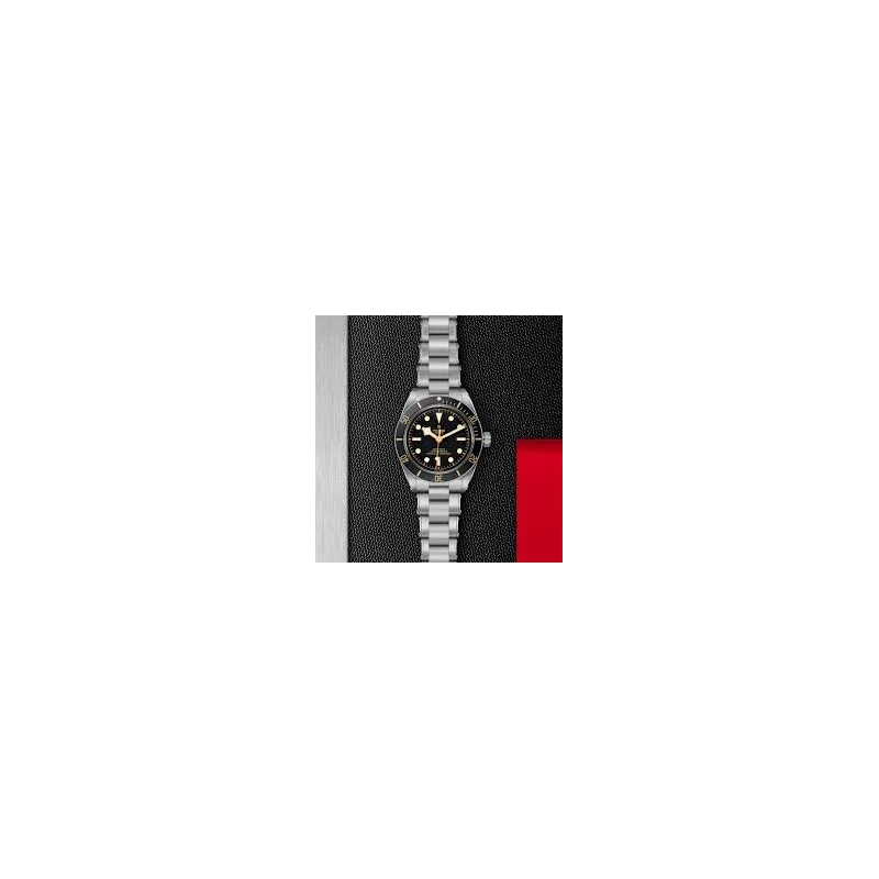 Tudor Black Bay 58