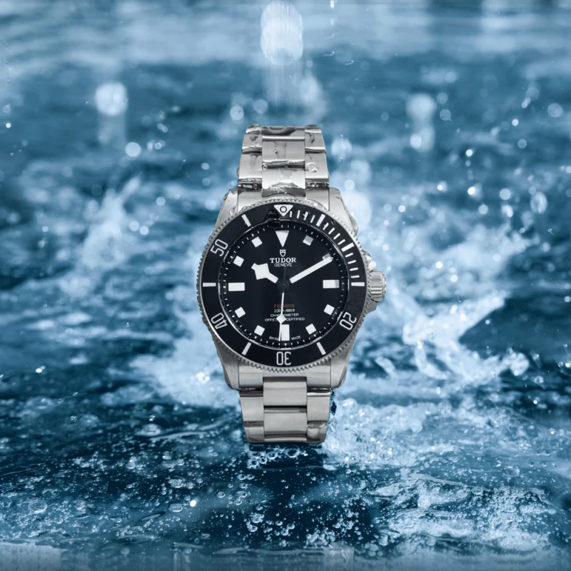 Tudor Pelagos 39