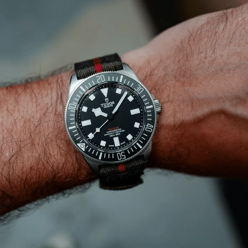 Tudor Pelagos FXD