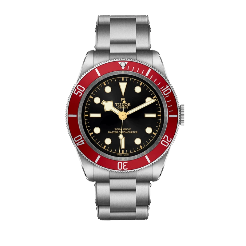 Tudor Baia Nera