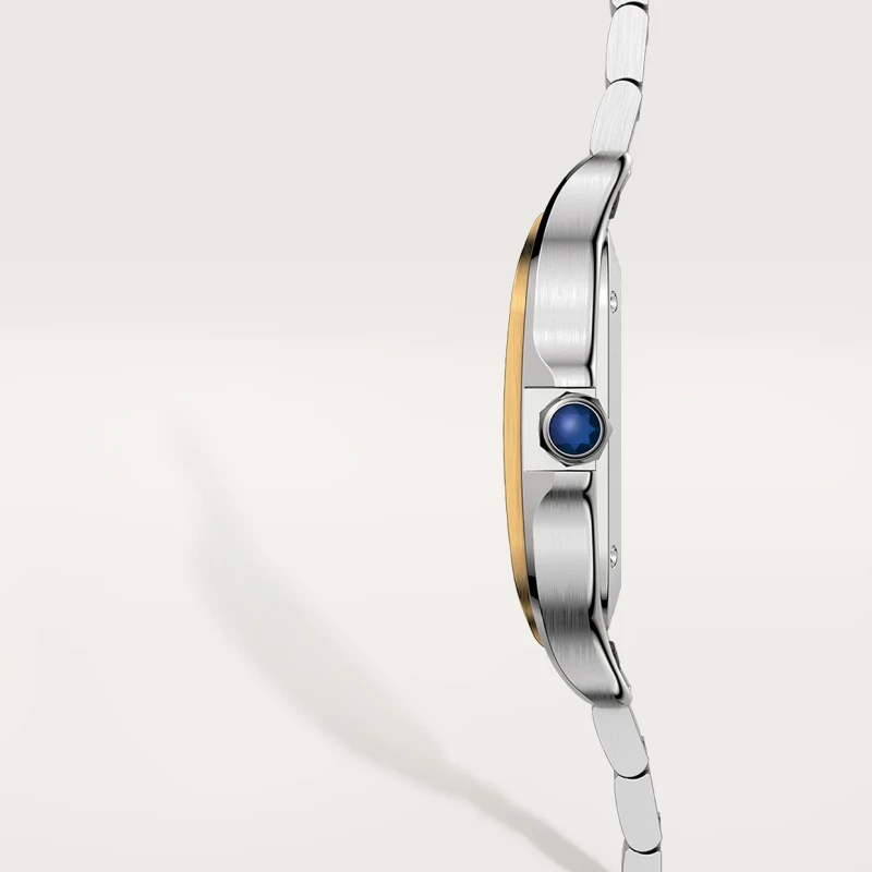 Cartier Santos