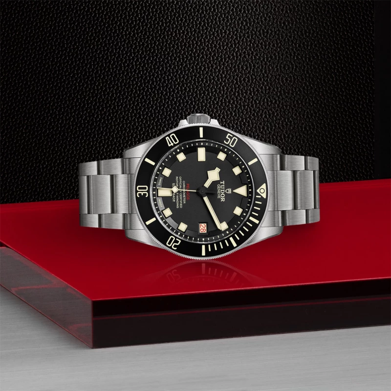 Tudor Pelagos LHD