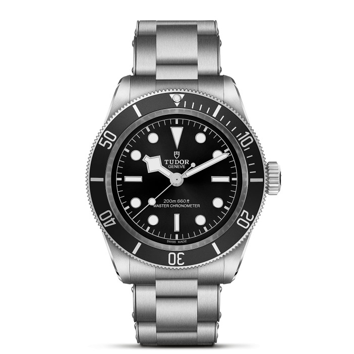 Tudor Black Bay