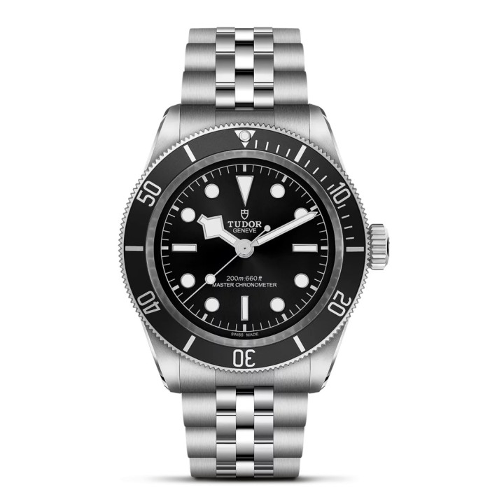 Tudor Black Bay