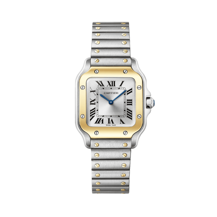 Cartier Santos WSSA0018