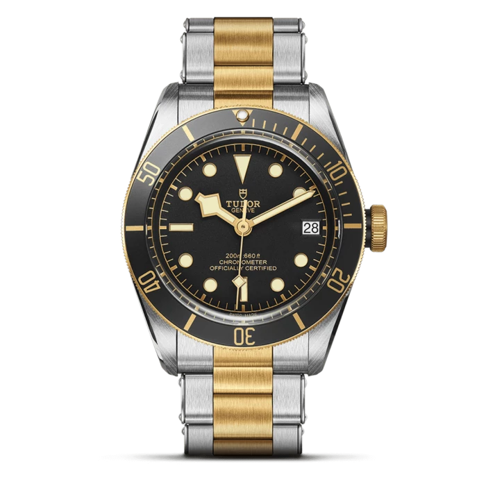 Tudor Black Bay S&G