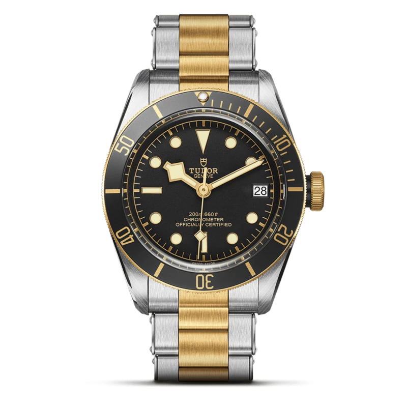 Tudor Black Bay S&G