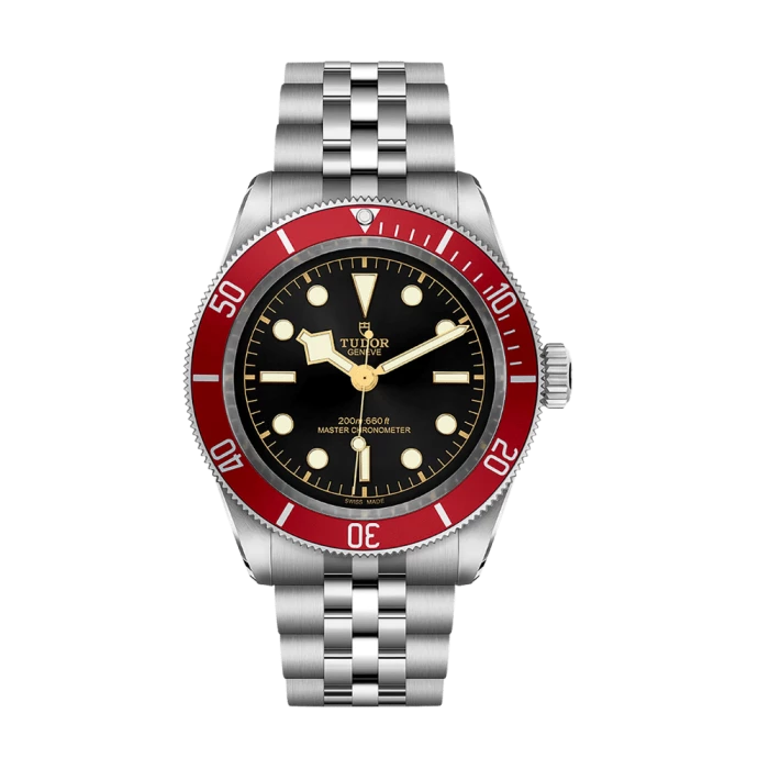 Tudor Black Bay