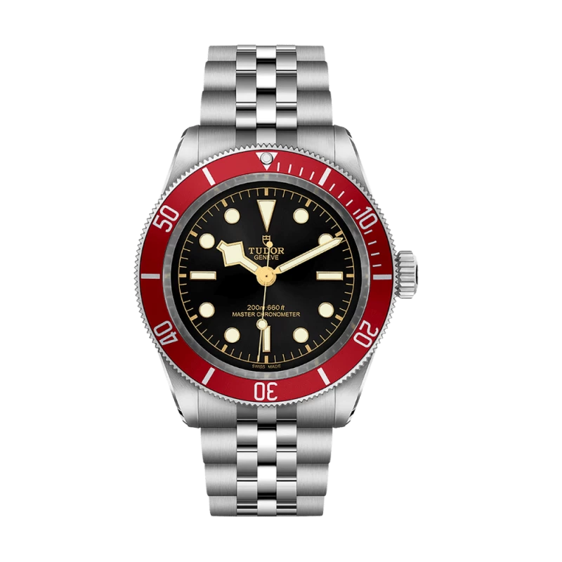 Tudor Black Bay