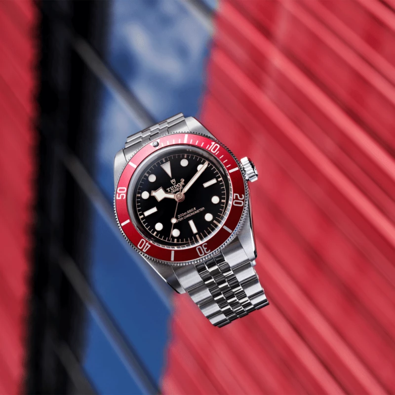 Tudor Black Bay