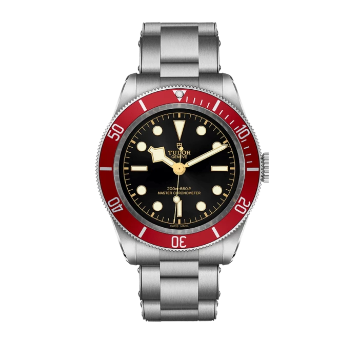 Tudor Black Bay