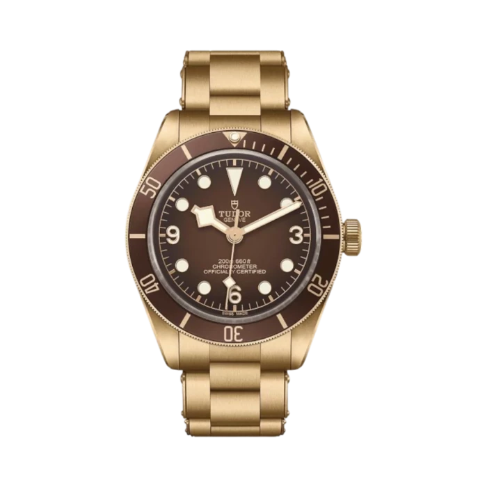 Tudor Black Bay 58 Bronze