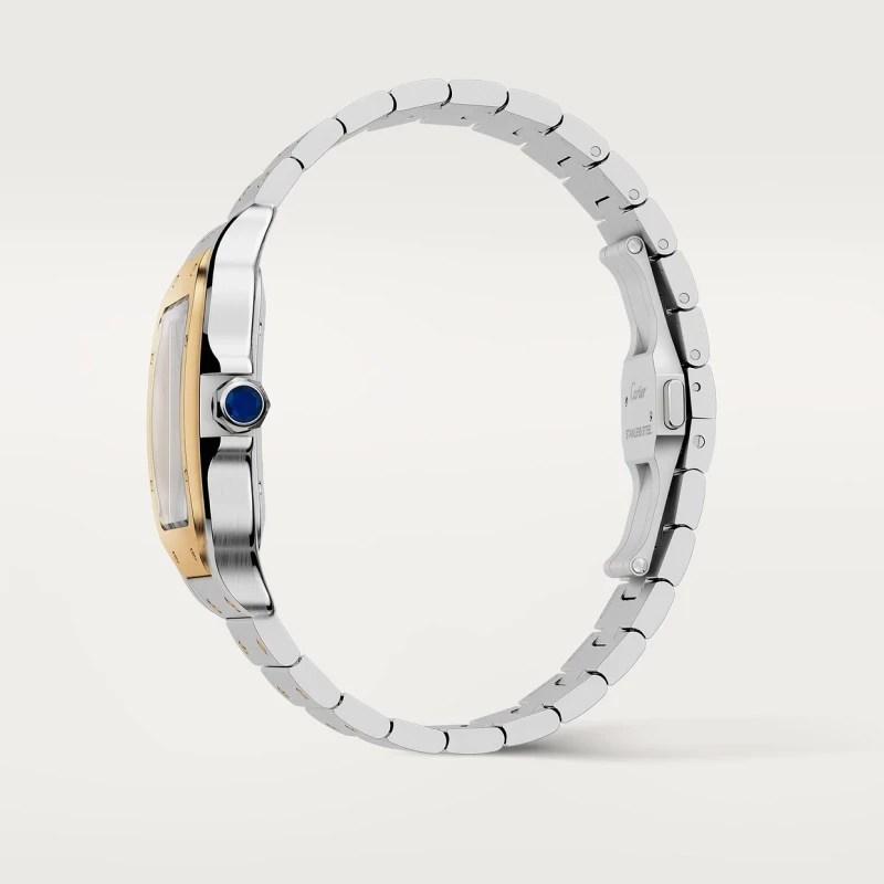 Cartier Santos