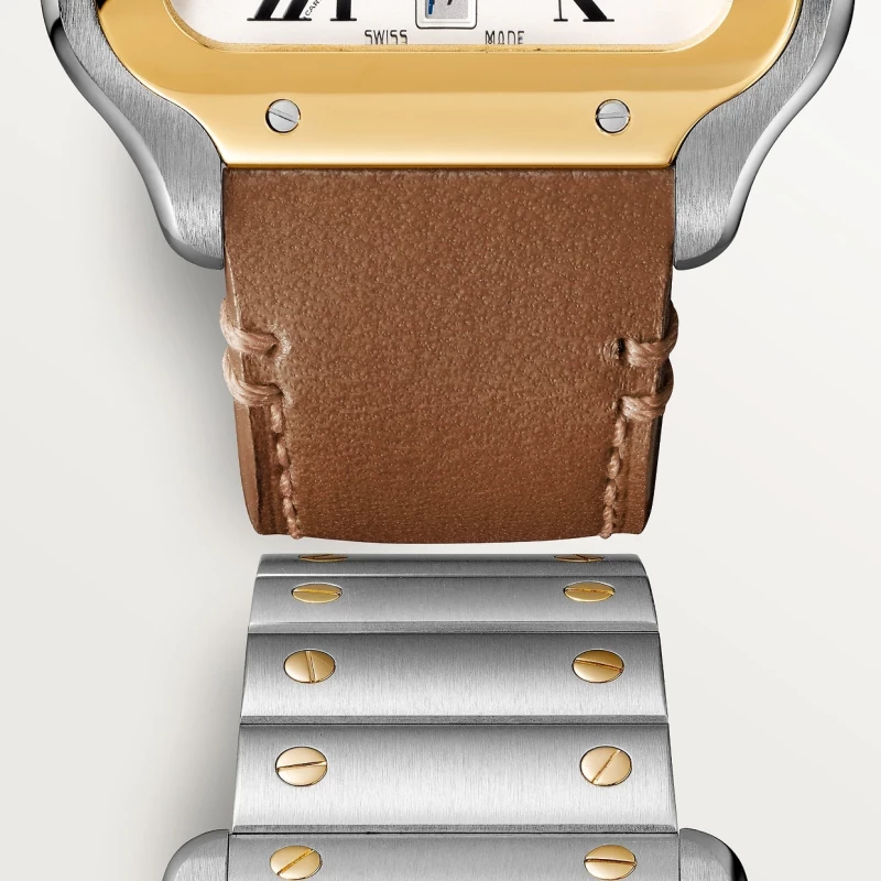 Cartier Santos
