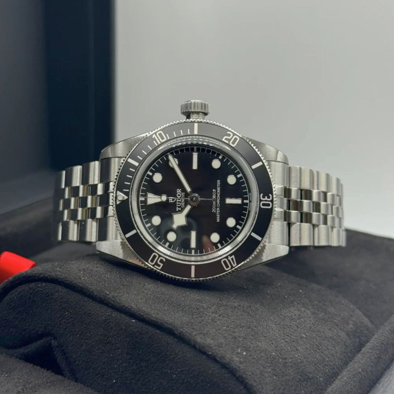 Tudor Black Bay