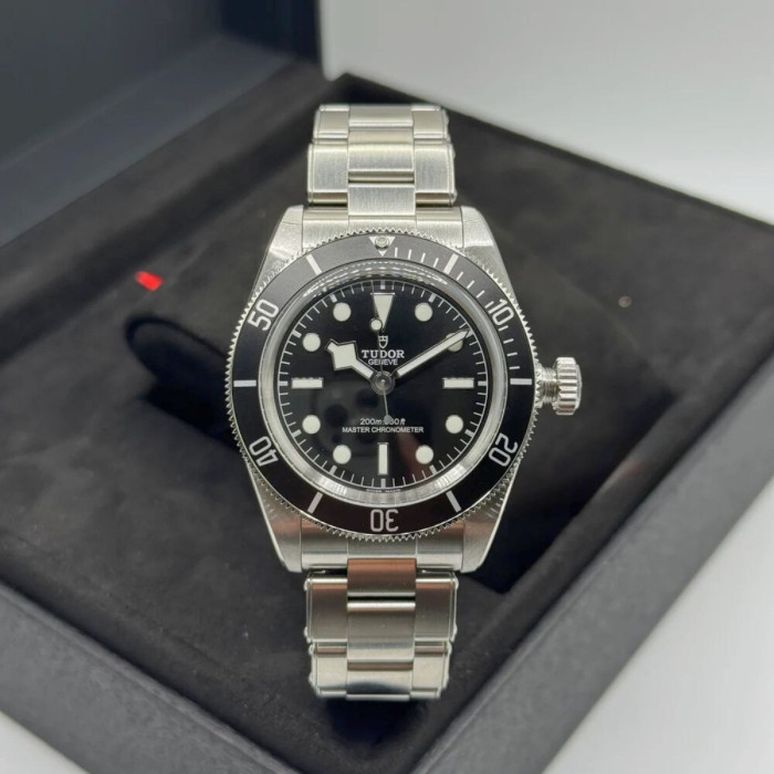 Tudor Black Bay