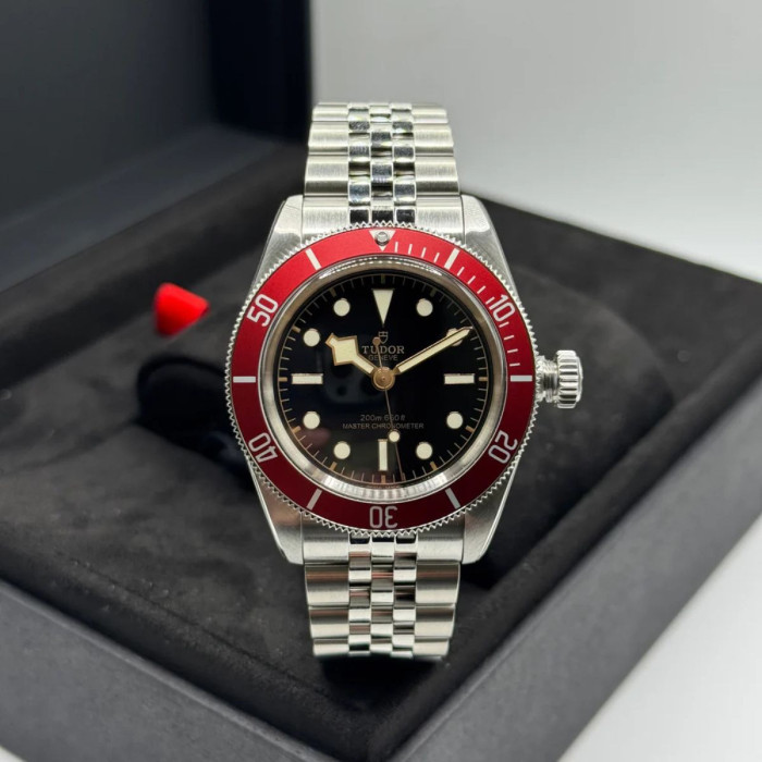 Tudor Black Bay