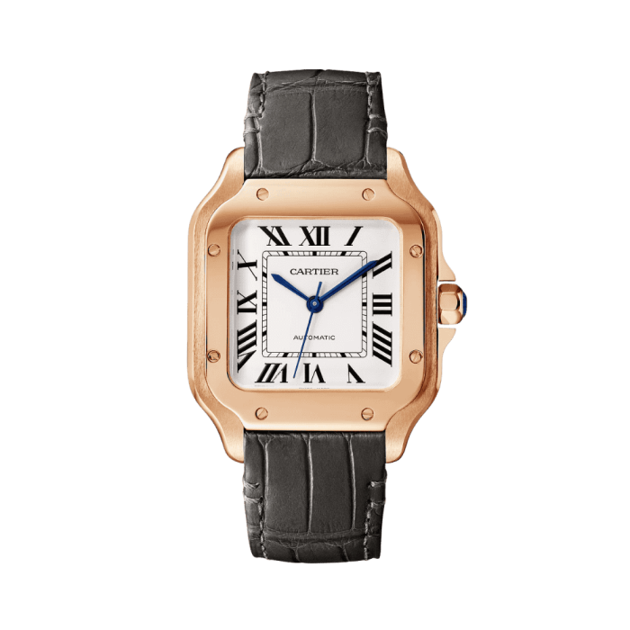 Cartier Santos WGSA0028